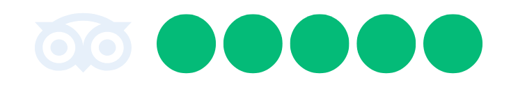 Faded owl logo followed by four green circles representing a rating system.