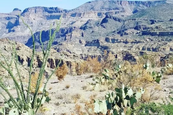 Desert landscape with cacti and rocky mountains under a clear blue sky.