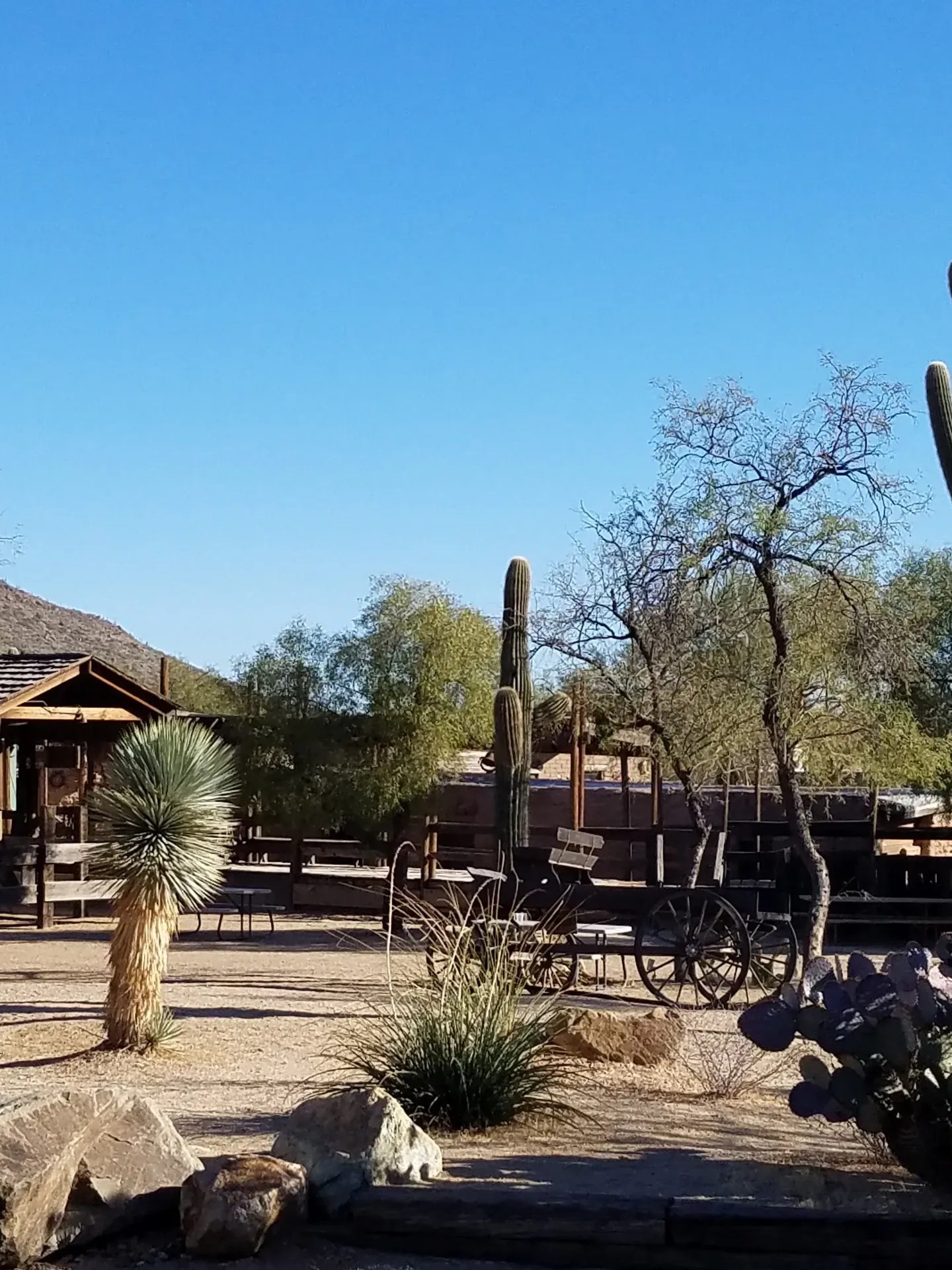 Desert scene with cacti, wagons, and rustic wooden buildings under a clear blue sky.