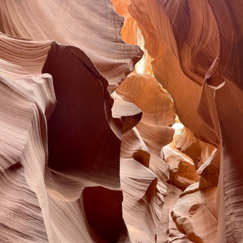 Smooth, curving sandstone walls of a narrow canyon with natural light filtering through.