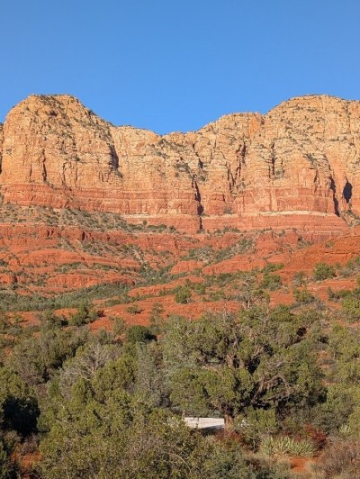 Red rock formations with green shrubbery under a clear blue sky.